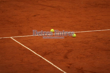 Tenis