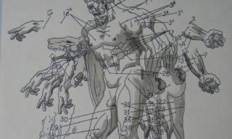 dibujo
