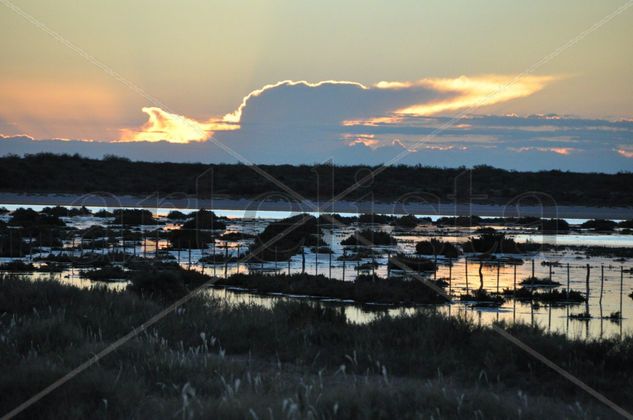 Laguna Viajes Color (Química)