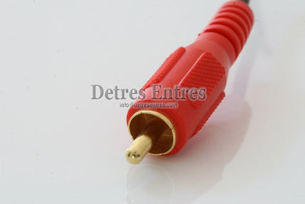 Conector