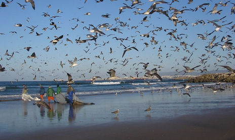 O Mar e Eu