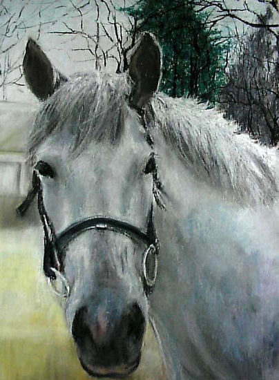 caballo blanco Pastel Papel Animales