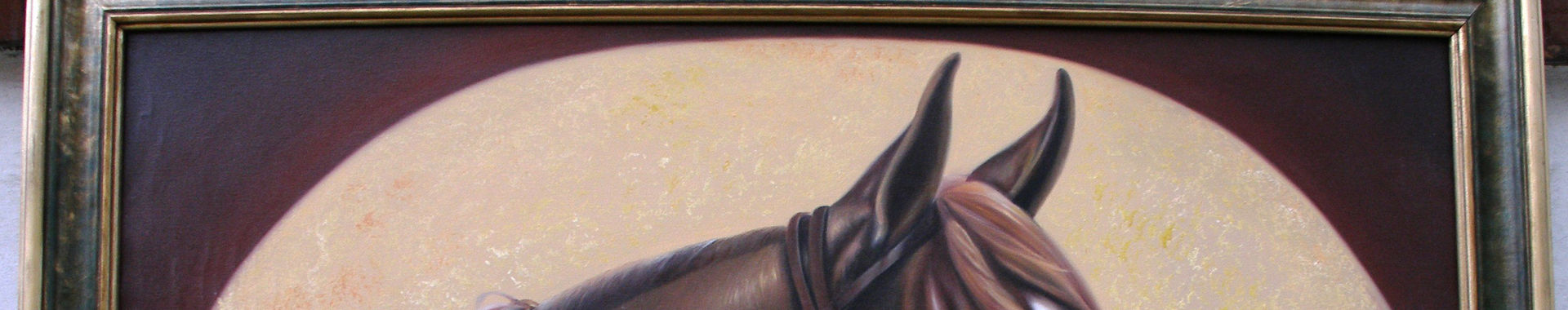 Imagen de portada