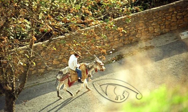 Transporte tradicional 