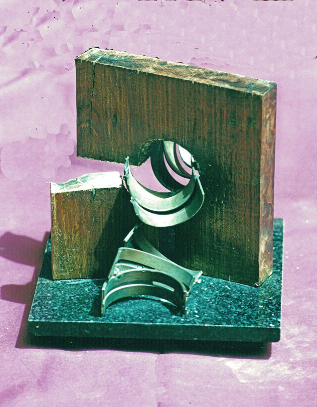 Logré construir una flor