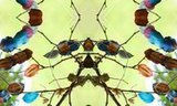 ARTE ENERGETICO