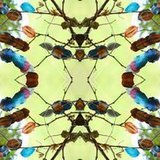 FRACTALES/SEMILLAS Conceptual/Abstracto Técnicas alternativas