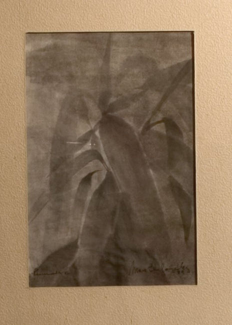 Sumi E IV