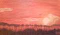 ATARDECER  SELVA