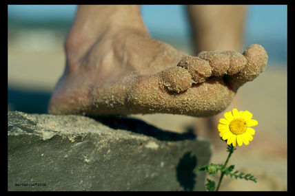 Playa de bolonia (...