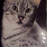 RITRATTI DI ANIMALI thumbnail 1