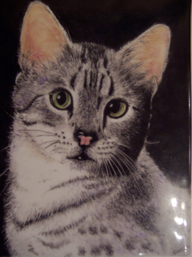"IL MIO GATTO" (MY GATO)