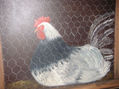 gallinero