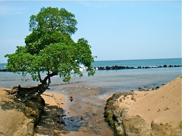 LA ENTRADA AL MAR...