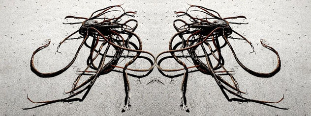 UOU! TELOREPITO (urbano) 4
