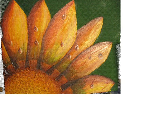 Girasol Oil Canvas Landscaping