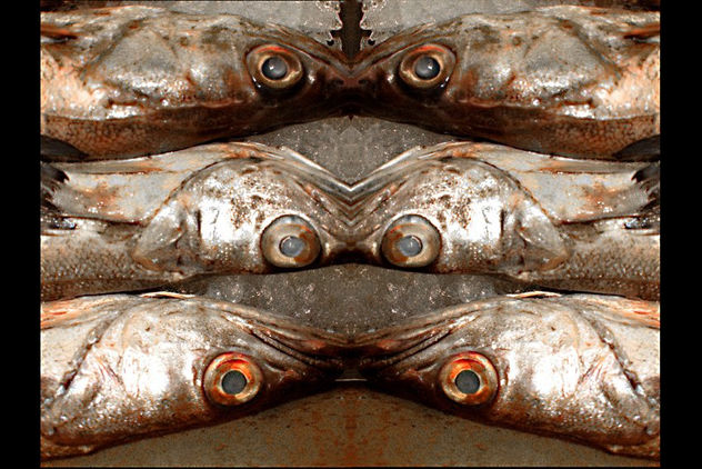UOU! TELOREPITO (animal) 2