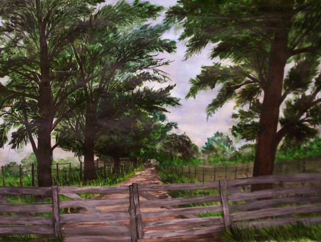 ENTRADA VERDE