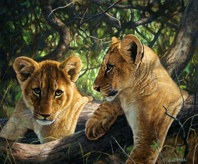 Curiosidad Oil Canvas Animals