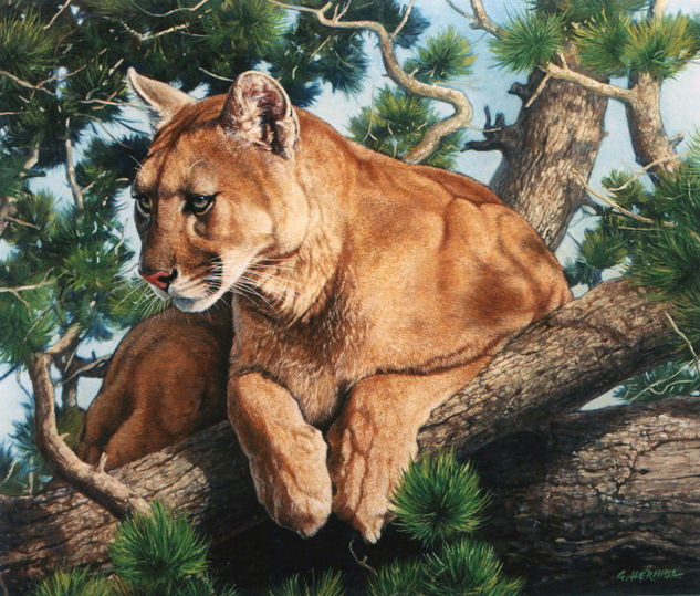 Puma Oil Canvas Animals