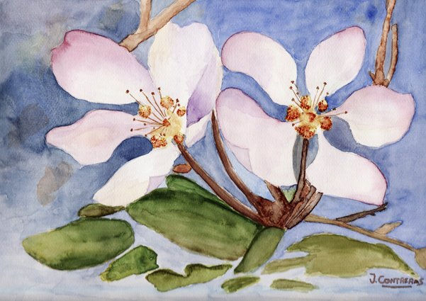 Flor Estancada Watercolour Paper Floral Painting