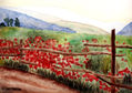Cerca Con Amapolas