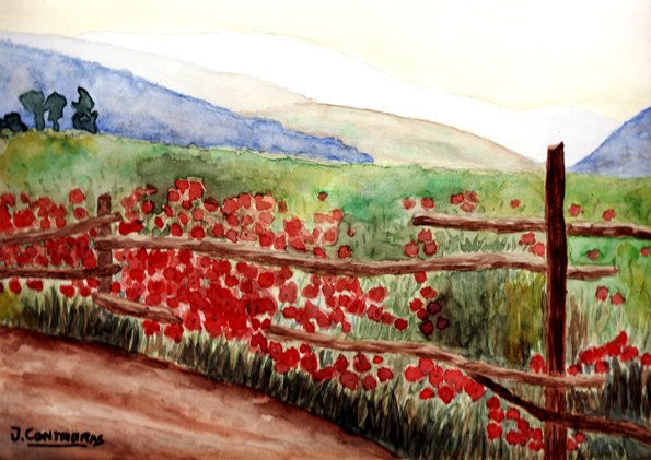 Cerca Con Amapolas Acuarela Papel Paisaje