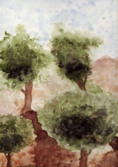 Olivos Watercolour Paper Landscaping