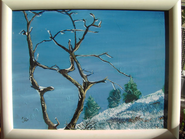 PAISAJE NEVADO