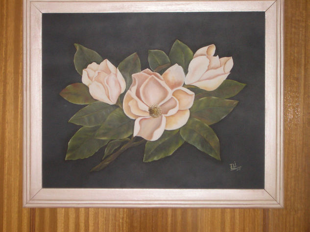 magnolia 