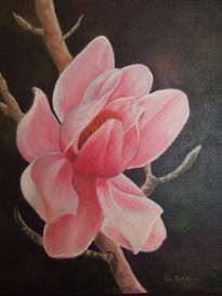 Magnolia en rosa