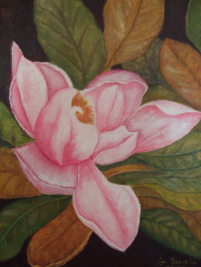 Magnolia en rosa 