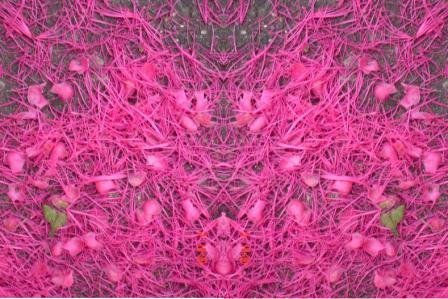 Poma-Flor