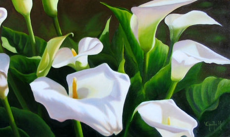 Flores