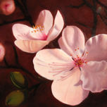 Flores thumbnail 2