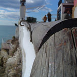 En el mar thumbnail 1