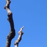 El cielo thumbnail 1