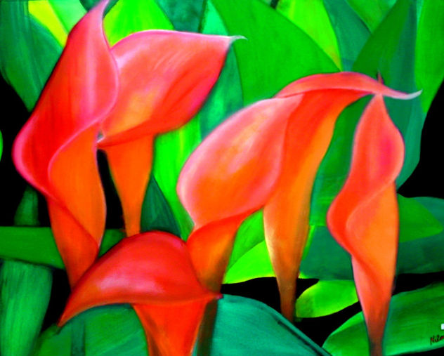Calas rosas