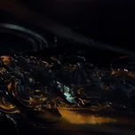 DE NACTUS thumbnail 2
