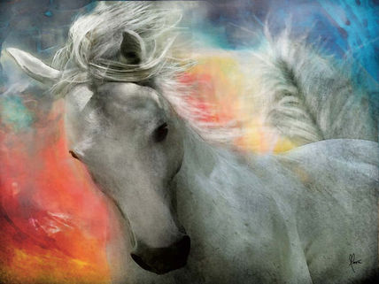 Cavalo principe