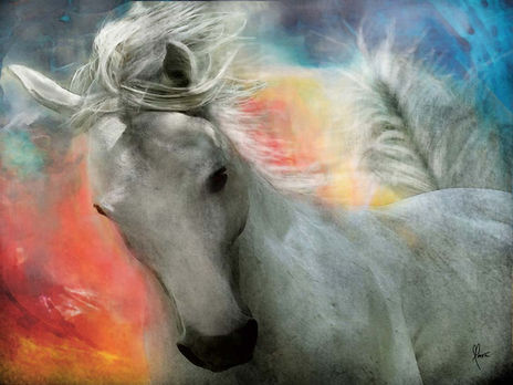 Cavalo principe