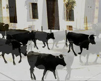 Vacas por el pueblo