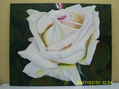 ROSA BLANCA