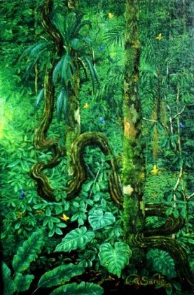 las escaleras de la selva al cielo