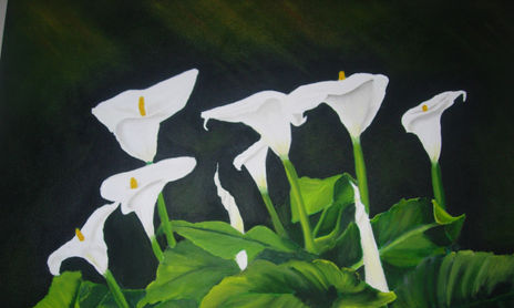 Flores