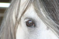 mirada