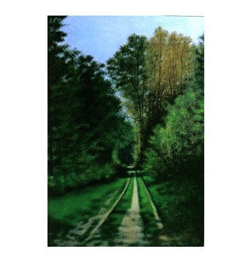 Sendero En El Bosque Acrylic Paper Landscaping