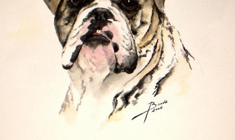 figura