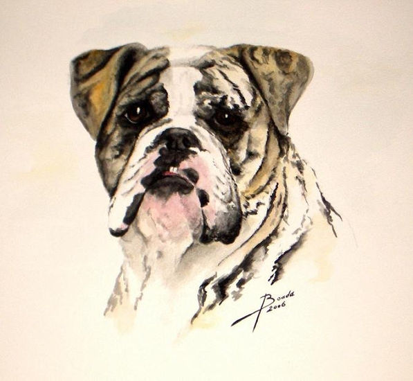 Bulldog Watercolour Paper Animals