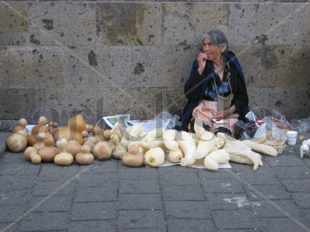 pasale marchanta